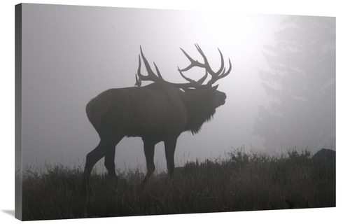 Global Gallery GCS-486486-40-142 40 in. Calling in to the Fog Art Prin