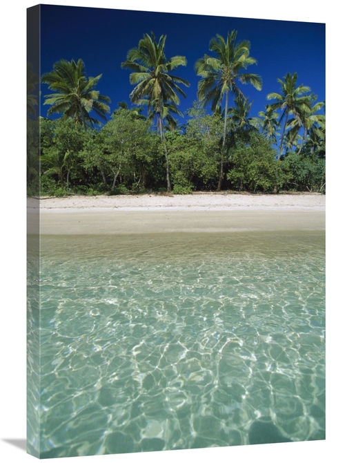 Global Gallery GCS-397514-2030-142 20 x 30 in. Tropical Scene with Pal