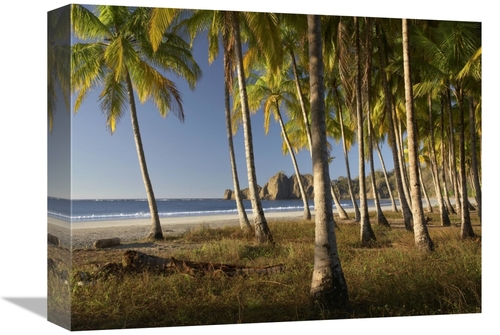 Global Gallery GCS-452184-1216-142 12 x 16 in. Palms At Playa Carrillo