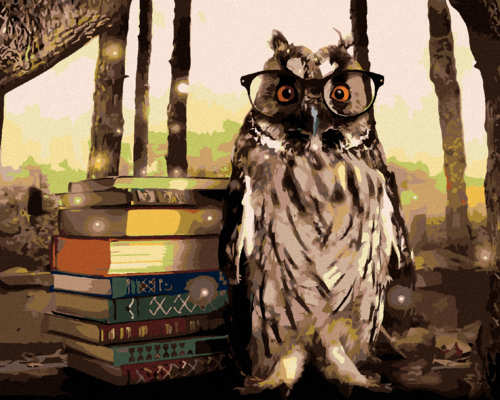 Paint by Numbers - OWL WITH BOOKS