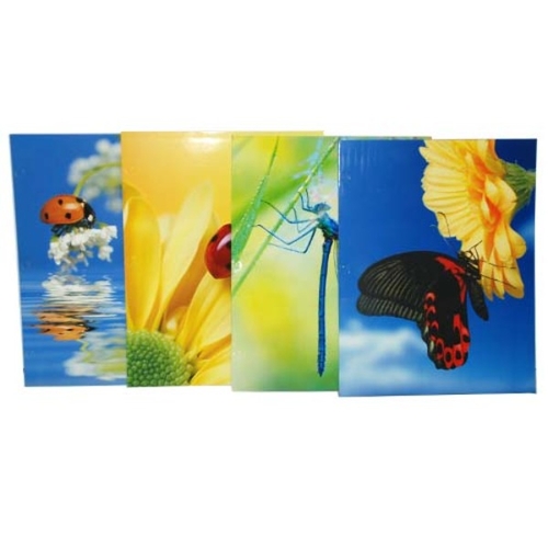 Promarx Glossy 2 Pocket Folder - Bugs