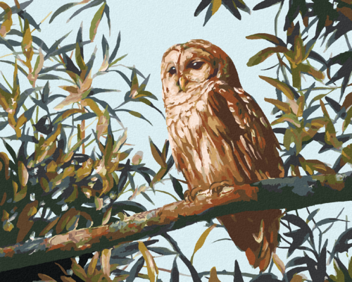 Zuty - Paint by Numbers - OWL ON A BRANCH AND LEAVES (D. RUSTY RUST),