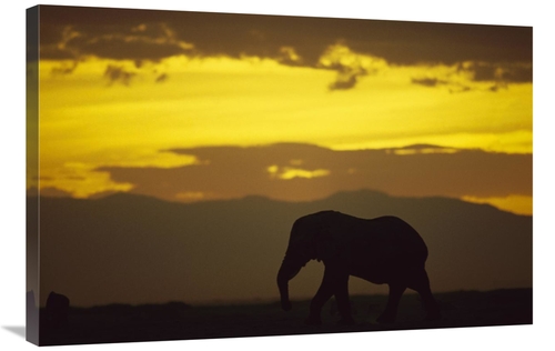 24 x 36 in. African Elephant Silhouetted At Sunset, Amboseli Natio