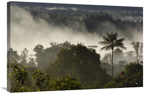 Global Gallery GCS-397954-2436-142 24 x 36 in. Cloud Forest Vegetation