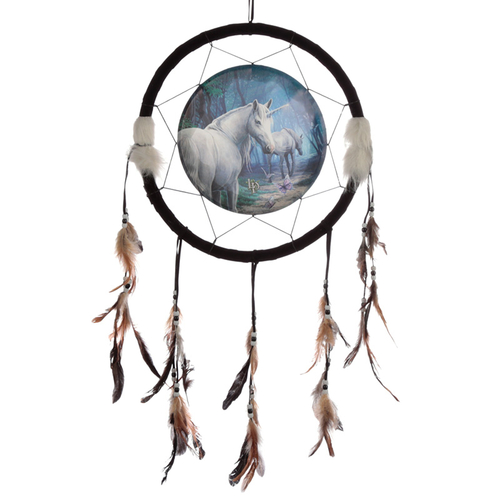 Decorative Lisa Parker The Journey Home 33cm Dreamcatcher
