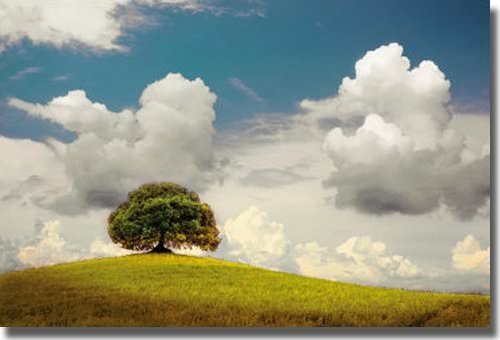 Artistic Home Gallery 1624AM760EG A Place to Dream by John Scanlan Pre