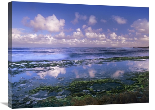 Global Gallery GCS-396336-2432-142 24 x 32 in. Tidepools & Waves at Ho