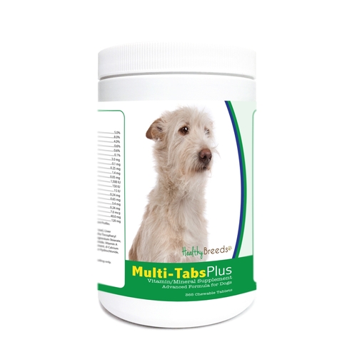 Healthy Breeds 840235178187 Portuguese Podengo Pequeno Multi-Tabs Plus