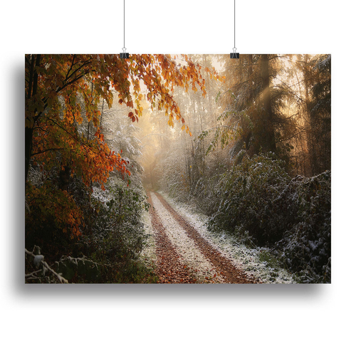 Frosty Fall Canvas Print or Poster