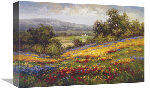 Global Gallery GCS-128431-1218-142 12 x 18 in. Campo Di Fiore I Art Pr