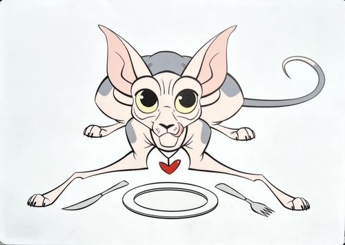 Silicone Cat Serving Mat ‚Äì Waterproof and Anti Slip Ideal for Cat