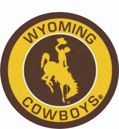 3 Inch Cloth Patch Wyoming