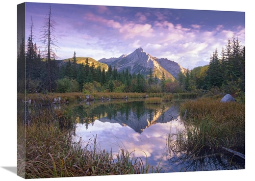 Global Gallery GCS-396677-1824-142 18 x 24 in. Mount Lorette & Spruce 