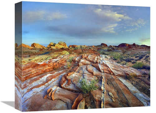 Global Gallery GCS-396276-16-142 16 in. Rainbow Vista, Valley of F