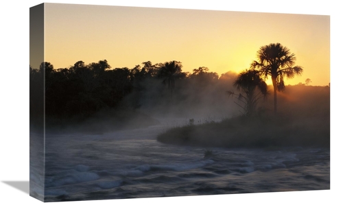 Global Gallery GCS-451577-1218-142 12 x 18 in. Buriti Palm Gallery For