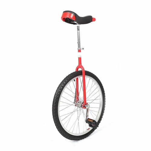 24'' Pro Circus Unicycle Bike