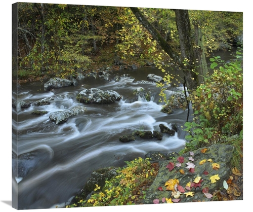 Global Gallery GCS-396550-36-142 36 in. Little River, Great Smoky 