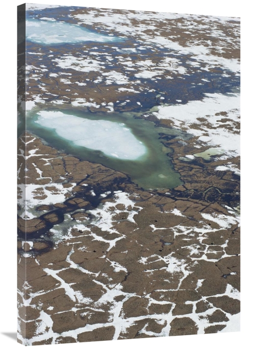 Global Gallery GCS-395503-2436-142 24 x 36 in. Aerial View of Tundra P