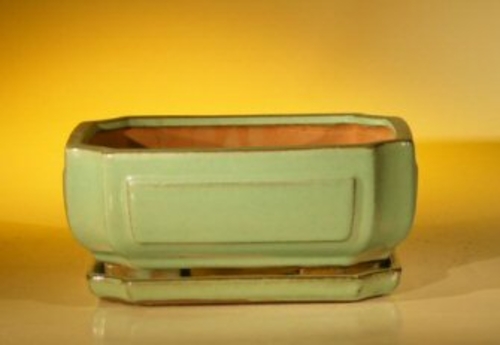 Light Green Ceramic Bonsai Pot - RectangleProfessional Series With