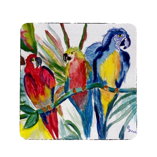 Betsy Drake CT217 Parrot Family Coaster - Set of 4