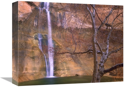 Global Gallery GCS-397166-1216-142 12 x 16 in. Calf Creek Falls Cascad