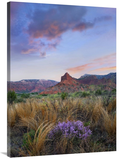 Global Gallery GCS-452239-3040-142 30 x 40 in. Caprock Canyons State P