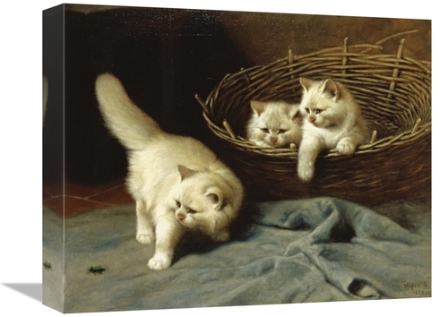 Global Gallery GCS-268097-16-142 16 in. White Angora Kittens with a Be