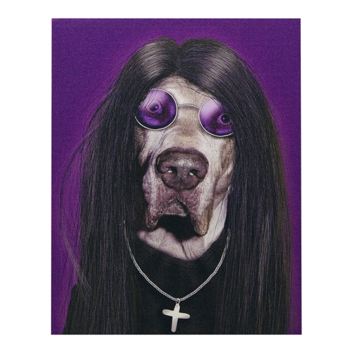 Empire Art Direct GIC-PR028-2016 High Resolution Pets Rock Giclee Prin