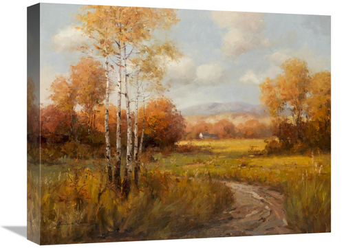 Global Gallery GCS-132456-1620-142 16 x 20 in. Countryside in the Fall