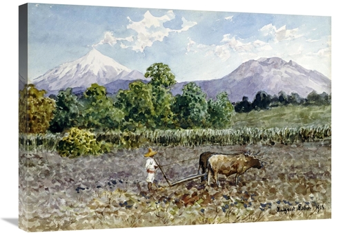 Global Gallery GCS-268253-30-142 30 in. Campesino Arando Art Print - A