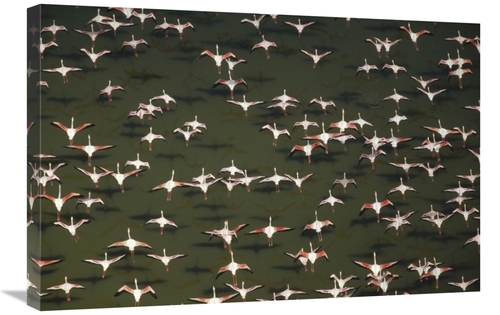 Global Gallery GCS-396731-2030-142 20 x 30 in. Aerial View of A Mixed 