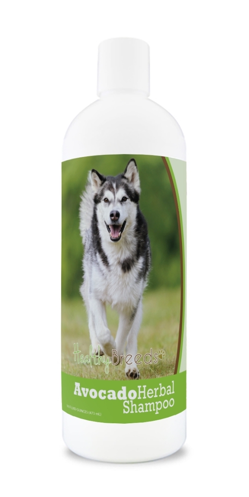 Healthy Breeds 840235156741 Alaskan Malamute Avocado Herbal Dog Shampo