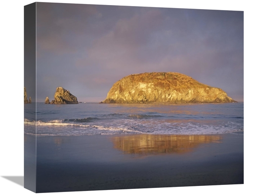 Global Gallery GCS-396114-16-142 16 in. Island, Harris Beach State