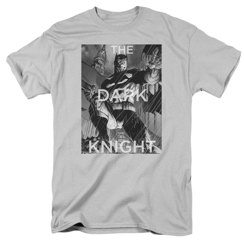 Trevco BM2555B-AT-6 Batman & Fighting the Storm Short Sleeve Cotton Ad