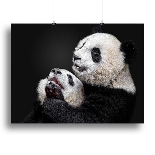 Pandas Playing Canvas Print or Poster