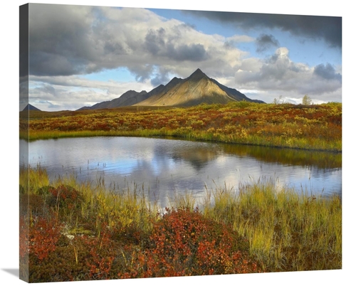 Global Gallery GCS-396769-30-142 30 in. Pond & Ogilvie Mountains, 