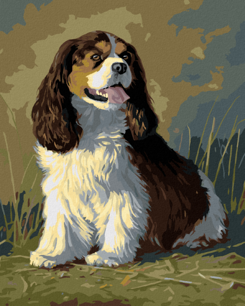 Zuty - Paint by Numbers â€“ CAVALIER KING CHARLES SPANIEL (JAMES
