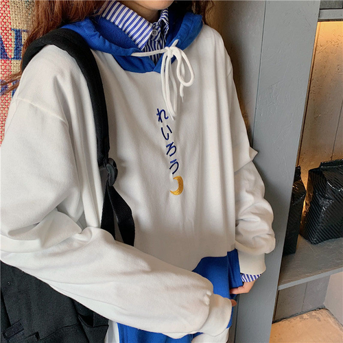 Winter Korean Women Long Sleeved Pullovers Hoodies