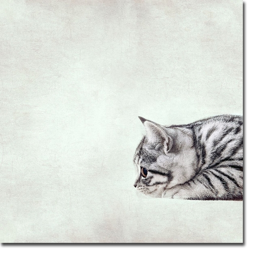 Artistic Home Gallery 3030H453IG In The Waiting Line by Nadia Attura P