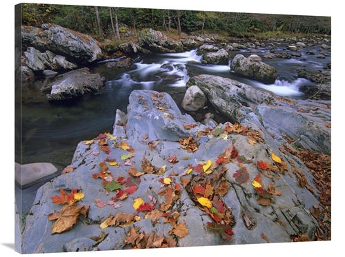 Global Gallery GCS-396727-3040-142 30 x 40 in. Little Pigeon River&#44