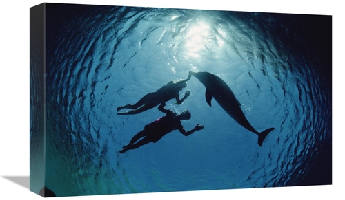 Global Gallery GCS-450628-1218-142 12 x 18 in. Bottlenose Dolphin Silh