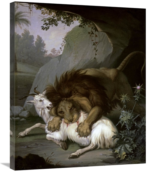 Global Gallery GCS-282661-30-142 30 in. A Lion Attacking a Goat Art Pr