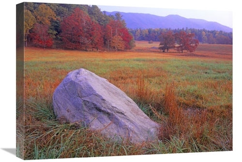 Global Gallery GCS-397173-1824-142 18 x 24 in. Boulder & Autumn Colore