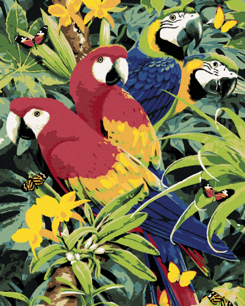 Paint by Numbers - COLOURFUL PARROTS (HOWARD ROBINSON)