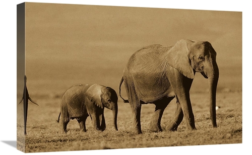 Global Gallery GCS-453681-1624-142 16 x 24 in. African Elephant Mother