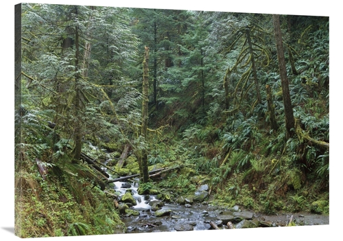 Global Gallery GCS-397172-3040-142 30 x 40 in. Cascade Along Eagle Cre