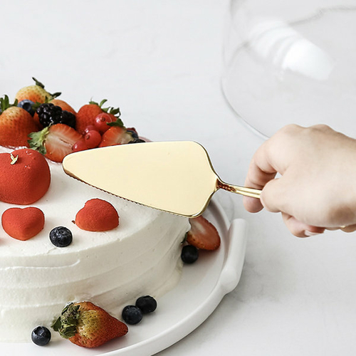 Stainless Steel Pie Cutter And Server