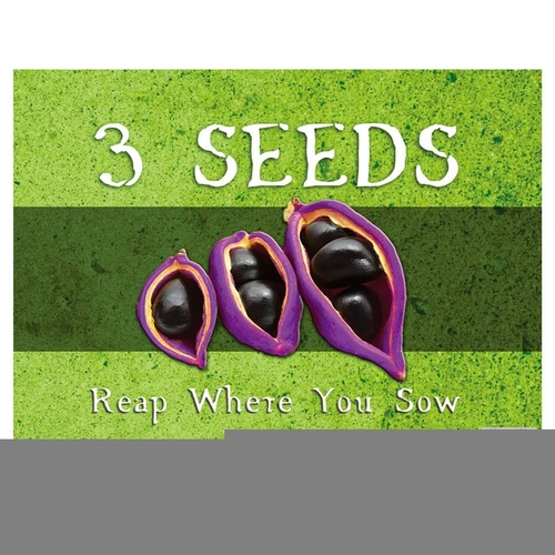 Chara Games XRG0002 3 Seeds - Reap Where You Sow Game