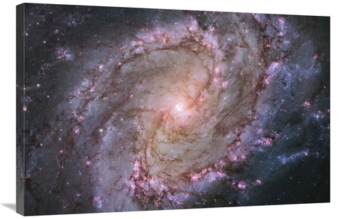 Global Gallery GCS-450037-2436-142 24 x 36 in. M83 - Spiral Galaxy Art