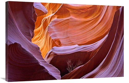 Global Gallery GCS-486639-40-142 40 in. Tumbleweed Canyon Art Print - 